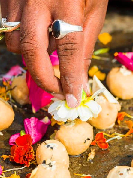 Pitru Dosh Puja